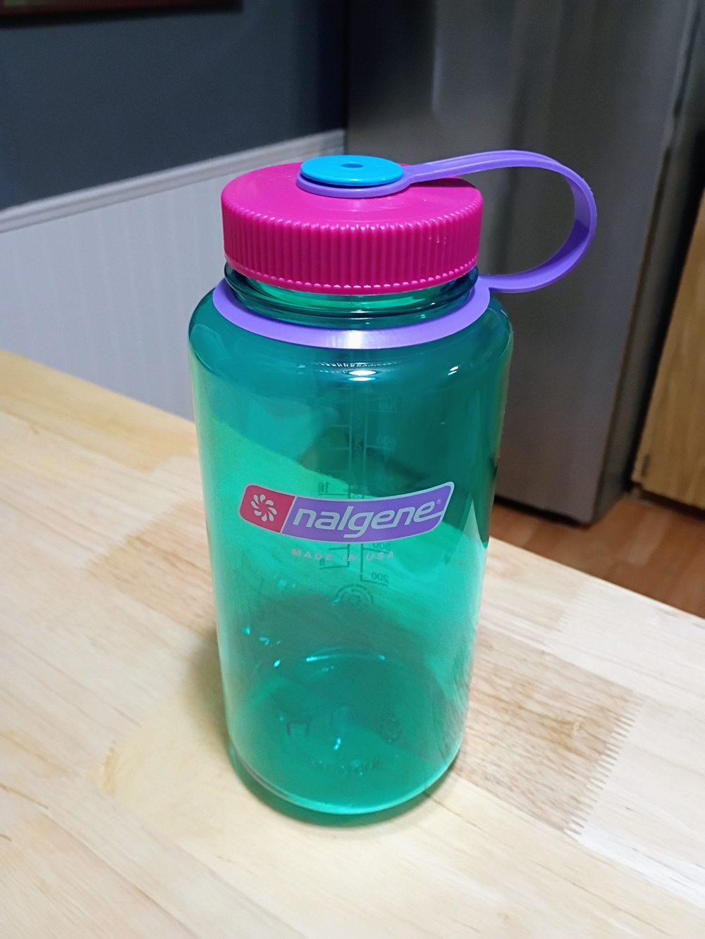 Teal Water Bottle with Pink & Purple Lid - Durable Everyday Hydration